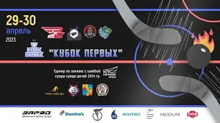 29.04.2023. КП. 2014. ПС. Pro Hockey-2 - Пираньи