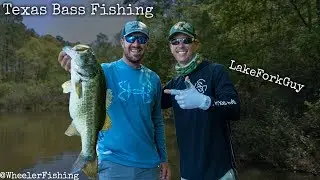 Sight Fishing with LakeForkGuy for Big Bass in Dirty Water