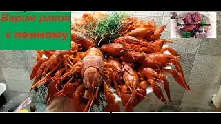 раки к пенному!|Лучшие ВАРЕНЫЕ РАКИ! Как правильно варить раков. Рецепт раков.