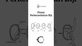 Proses Perkecambahan Pada Biji