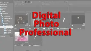 Digital Photo Professional software gratuito de Canon