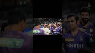 SRK sultan of team KKR #ipl2024 #kkr #cricket #srk