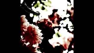 denshūto - One Gleam