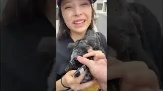 This is my life now 