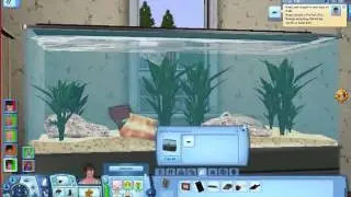Let's Fail The Sims 3 Pets Episode 16; LOVE ME UNICORN!!!