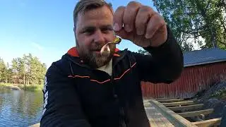 10 VISET JA 10 KALA ?