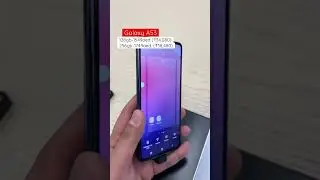 Galaxy A53 Price 