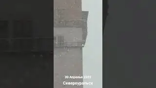 30 апреля 2023 г.