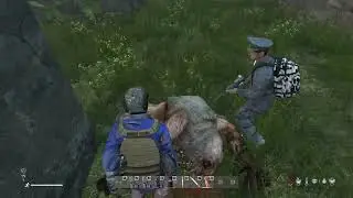 PSEUDO KILL