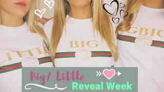 Big/Little Reveal Week Vlog