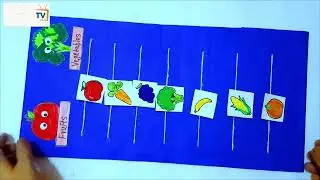 fruits and vegetables activity/EVs activity