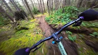 No Nonsense Hardtail Shred