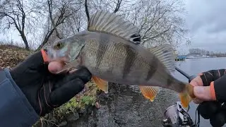 SMALL JIG and POINT | Fishing on the Moscow River! Fall Fishing 2022.