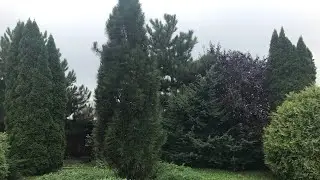 Дмитрий Певцов# притча#позновательно