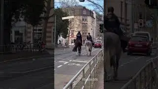 Police in Frankfurt #police #frankfurt #germany #funny #funnyshorts #horse #animals