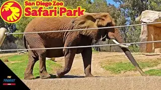 Exploring The San Diego Zoo Safari Park for the First Time
