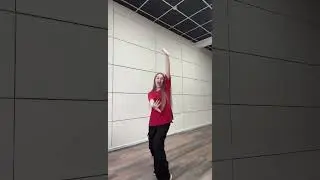 #тренд2024 #тренд #хомяки #бурундуки #викусяродионова2024 #dance #dancer #shorts #short #shortvideo