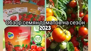 🔥🍅🔥ОБЗОР ТОМАТОВ НА НОВЫЙ СЕЗОН 2023🍅 ГИБРИДЫ🤔🍅