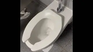 Costco Business Center Restrooms Full Shoot