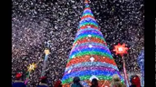 Самые красивые и необычные елки мира