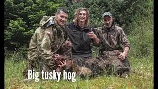 Bailing Dogs & Nailing Hogs | Wild Pig Hunting NZ