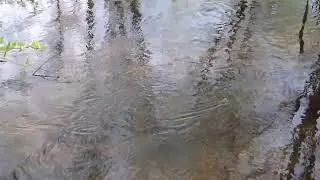 вода, речка