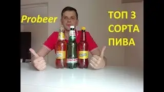 ТОП 3 СОРТА ПИВА - PROBEER
