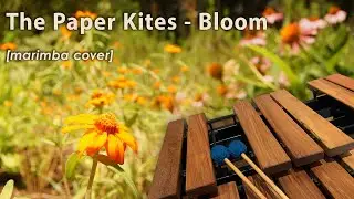 The Paper Kites - Bloom (marimba cover)