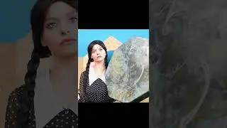 Среда имеет свои собственные способы покраски дома.