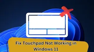 How to Fix Touchpad Not Working in Windows 11