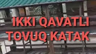 UY SHAROITIDA TOVUQ KATAK TAYYORLASH 🐥🐓🐤