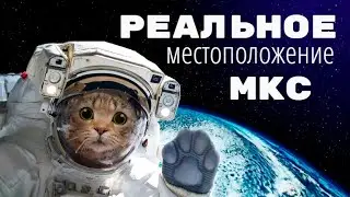 Или 