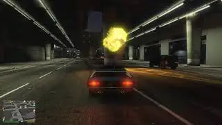 GTAV - Another pigeon