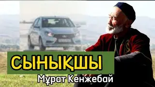 Сынық көрсем денем сырқырайды. СЫНЫҚШЫ.