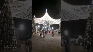 Новогоднее настроение, Анапа