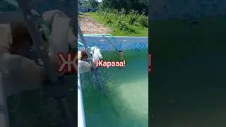 как сделать фильтр для бассейна из подручных средств. #diy