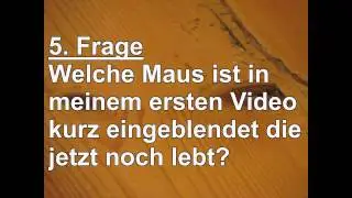 DAS 100 Abo QUIZ bis 22.02.2015