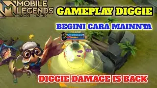 CATAT BEGINI CARA MAIN  DIGGIE DAMAGE
