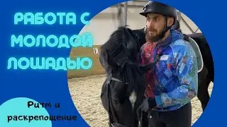 Работа с молодой лошадью. Ритм и раскрепощение. Вниз и вперёд