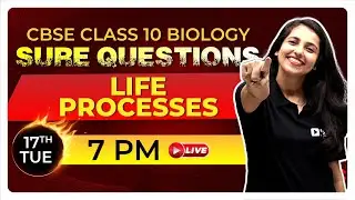 Class 10 CBSE | Biology | Life Process | Sure Questions| Exam Winner