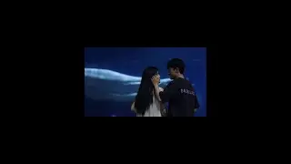 我们存在于一生仅此一次的当下 #vlog日常 #海洋馆