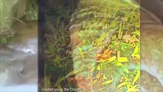 Video Parcial Artes Integradas Unsam