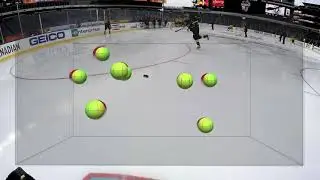 NeuroTracker Tactical - Hockey Goaltender