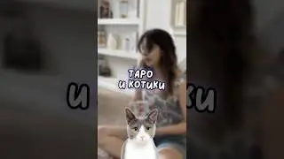 Записаться на годовой можно в вк «Английский и котики» #егэ #егэ2025
