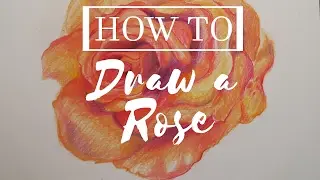 How to Draw a Rose // Speed Draw