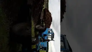 Выгрузка навоза на мтз-82