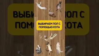 Выбираем пол с котом😸