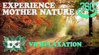 Experience Mother Nature in 360°: VR Relaxation [4K]