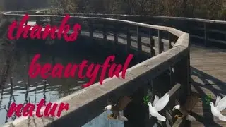 Danke Natur