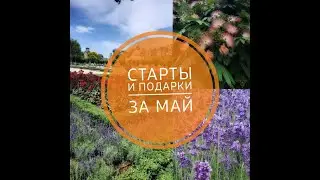 Старты и подарки за месяц май #panna #алиса